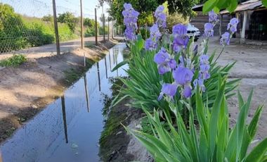 Se Vende Terreno Con Casa Para Ampliar Más Plantaciones