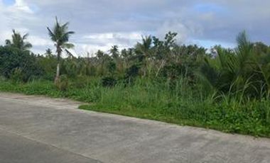 82,770 sqm Lot For Sale at Siargao Island