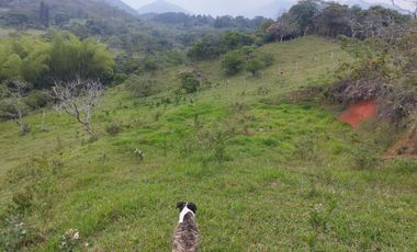 VENDO LOTE LA VORÁGINE