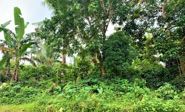 Agricultural Lot in Alfonso Cavite
