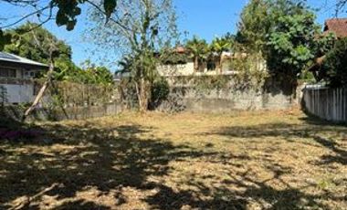 678 sqm Vacant Lot for Sale in Alabang Hills, Muntinlupa City