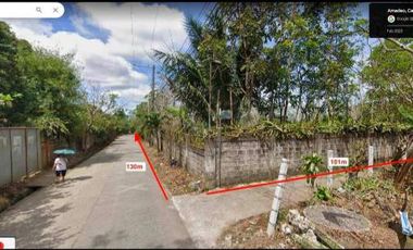 FOR SALE: Residential Lot - LA: 13,846 sqm., Amadeo Cavite