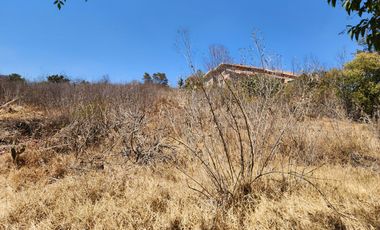 LA ESTADIA