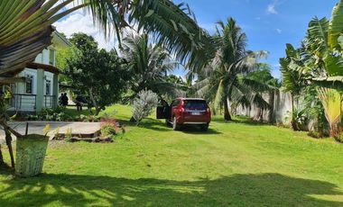 Rush Sale House & Lot (3,500 sqm) in Panglao, Bohol