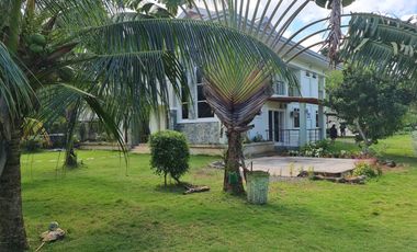 Rush Sale House & Lot (3,500 sqm) in Panglao, Bohol