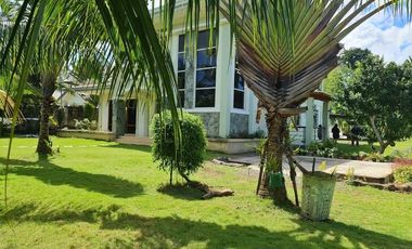 Rush Sale House & Lot (3,500 sqm) in Panglao, Bohol