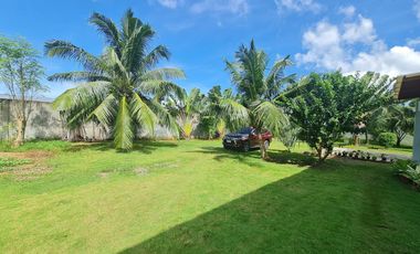 Rush Sale House & Lot (3,500 sqm) in Panglao, Bohol