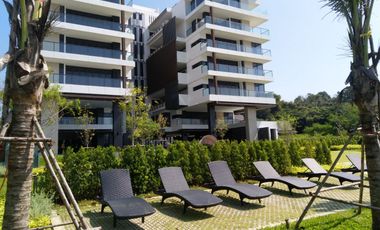 Escape Condominum - Luxury beachfront