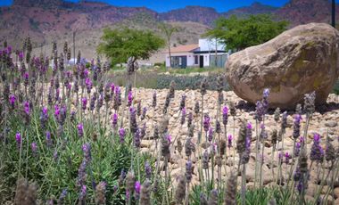 PRECIO SUPER BAJO TERRENO EN ESQUINA PRIMERA ETAPA CIUDAD MADERAS