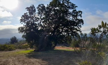 Parcela a min de playas como pichilemu, bucalemu y cahuil