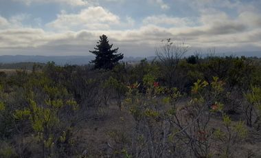 Parcela a min de playas como pichilemu, bucalemu y cahuil
