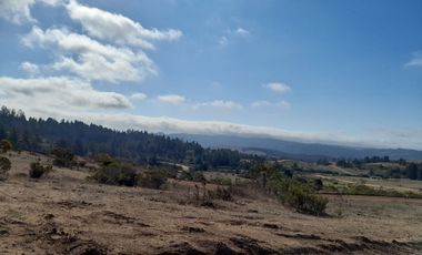 Parcela a min de playas como pichilemu, bucalemu y cahuil