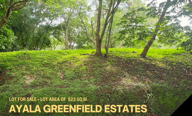 Ayala Greenfield Corner Lot at 623 SQM Lot Area For Sale Beside Garden Area
