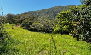 VENTA DE LOTE HACIENDA SAN JOSE L28 , SAN JERONIMO ANTIOQUIA