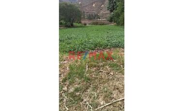 Terreno En Venta En Urubamba Sector Chichubamba!!