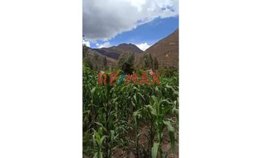 Terreno En Venta En Urubamba Sector Chichubamba!!