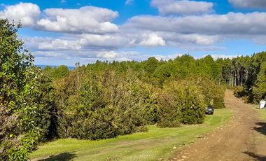 Venta de Dos Parcelas de 20,6 y 36,7 ha c/u en sector tres bocas a 27 km de Valdivia, Corral