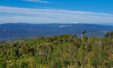 Venta de Dos Parcelas de 20,6 y 36,7 ha c/u en sector tres bocas a 27 km de Valdivia, Corral