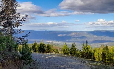 Venta de Dos Parcelas de 20,6 y 36,7 ha c/u en sector tres bocas a 27 km de Valdivia, Corral