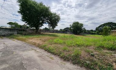 493 sqm Lot for SALE in Carmenville Subdivision Angeles City near CLARK