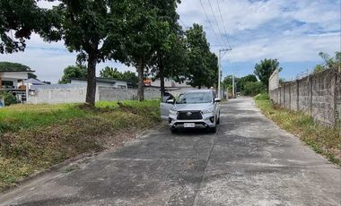 493 sqm Lot for SALE in Carmenville Subdivision Angeles City near CLARK