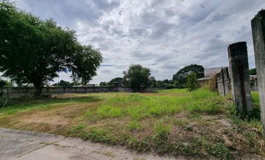 493 sqm Lot for SALE in Carmenville Subdivision Angeles City near CLARK
