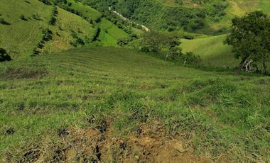 Venta Finca Ganadera y Agrícola Angelópolis Antioquia