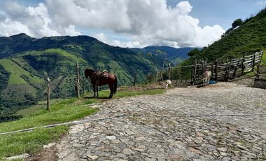 Venta Finca Ganadera y Agrícola Angelópolis Antioquia