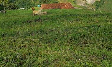 Venta Finca Ganadera y Agrícola Angelópolis Antioquia