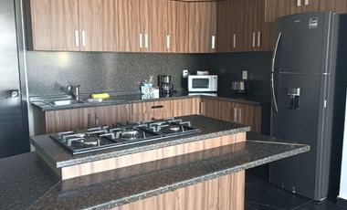 Amplio departamento amueblado en renta en Puertas del Tule