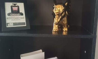 Amplio departamento amueblado en renta en Puertas del Tule