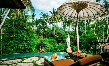 Freehold Jungle View Villa with Yoga Sala and Saltwater Infinity Pool in Ubud