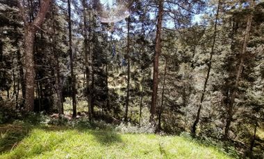 TERRENOS RESIDENCIALES EN MONTE REAL LAS FLORES: ¡NO TE LOS PIERDAS!