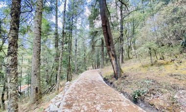 TERRENOS RESIDENCIALES EN MONTE REAL LAS FLORES: ¡NO TE LOS PIERDAS!