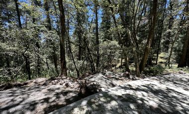 TERRENOS RESIDENCIALES EN MONTE REAL LAS FLORES: ¡NO TE LOS PIERDAS!