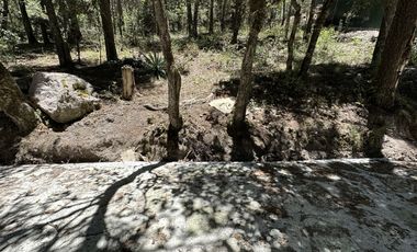 TERRENOS RESIDENCIALES EN MONTE REAL LAS FLORES: ¡NO TE LOS PIERDAS!