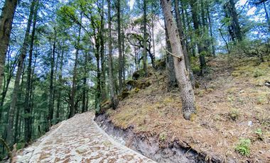 TERRENOS RESIDENCIALES EN MONTE REAL LAS FLORES: ¡NO TE LOS PIERDAS!