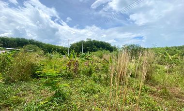 676 square meters of minimally flat land for sale in Thalang, Phuket.