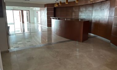 OFICINA RENTA INSURGENTES SUR - 1,077 m2