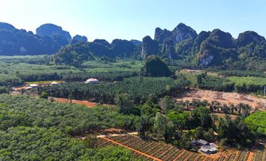 Peaceful 77 Rai Mountain View Land for Sale Near Samet Nangshe, Phang Nga
