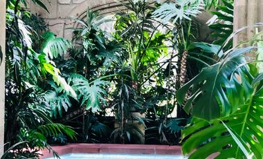 Bosque 6060 Hermoso Pent House en Venta