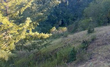 HERMOSO TERRENO EN OMITLAN $228 EL M2