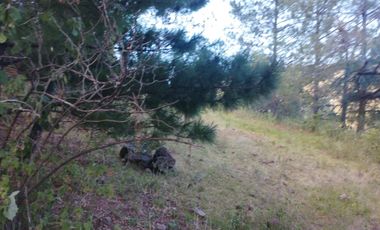 HERMOSO TERRENO EN OMITLAN $228 EL M2