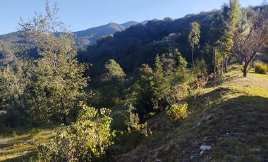 HERMOSO TERRENO EN OMITLAN $228 EL M2