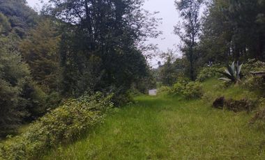 HERMOSO TERRENO EN OMITLAN $228 EL M2