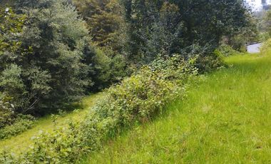 HERMOSO TERRENO EN OMITLAN $228 EL M2