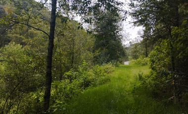 HERMOSO TERRENO EN OMITLAN $228 EL M2