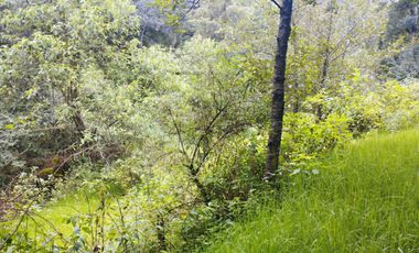 HERMOSO TERRENO EN OMITLAN $228 EL M2