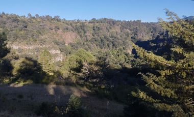 HERMOSO TERRENO EN OMITLAN $228 EL M2