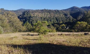 HERMOSO TERRENO EN OMITLAN $228 EL M2